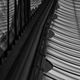 Illustration for article titled Shooting Challenge Abstract Gallery 3